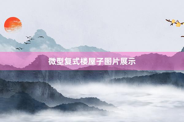 微型复式楼屋子图片展示